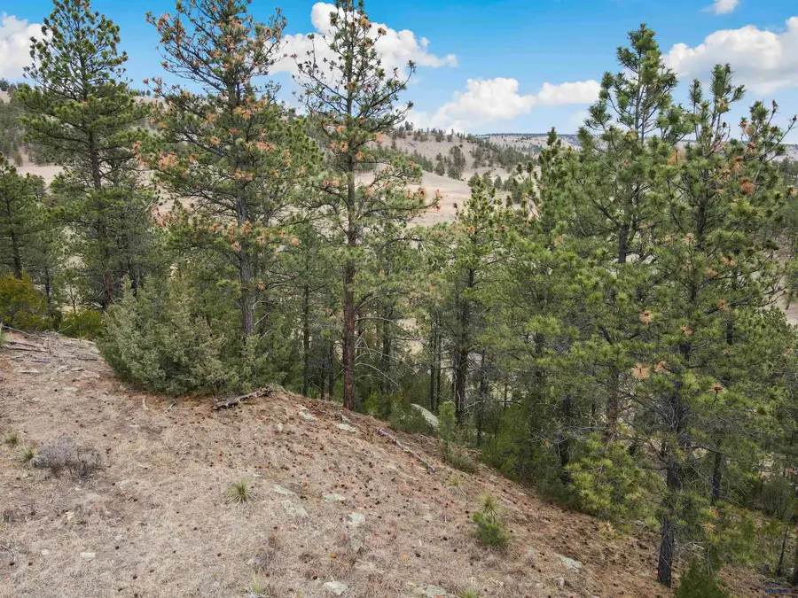Lot 2 Lake Hills Rd, Hot Springs, SD 57747 - #2