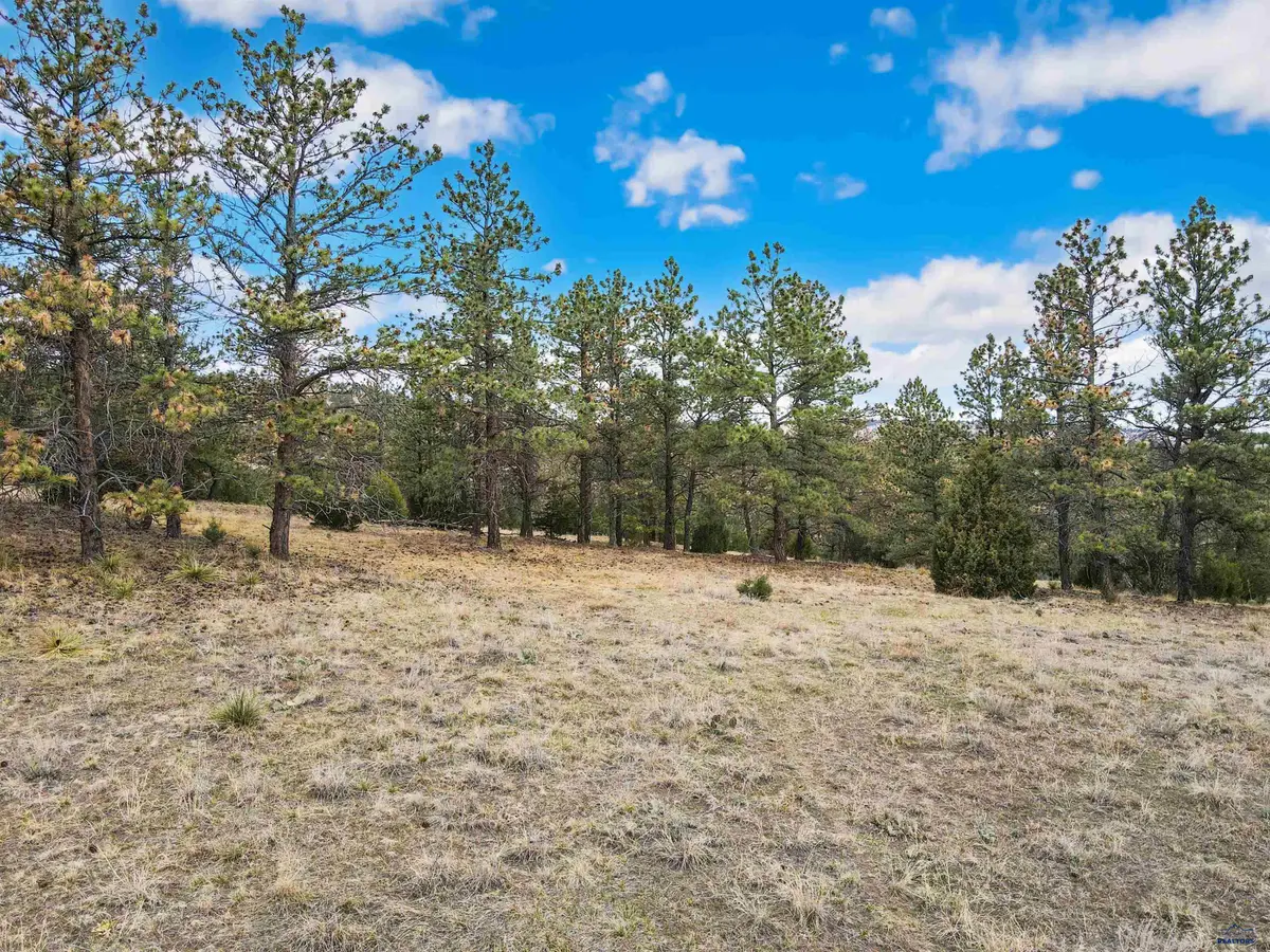 Lot 5 Lake Hills Rd, Hot Springs, SD 57747 - #1