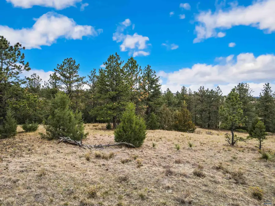 Lot 5 Lake Hills Rd, Hot Springs, SD 57747 - #2