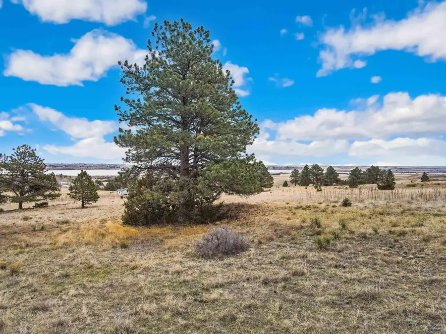 Lot 5 Lake Hills Rd, Hot Springs, SD 57747 - #3