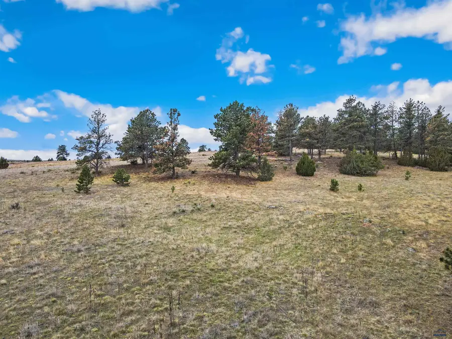 Lot 23 Lake Hills Rd, Hot Springs, SD 57747 - #2