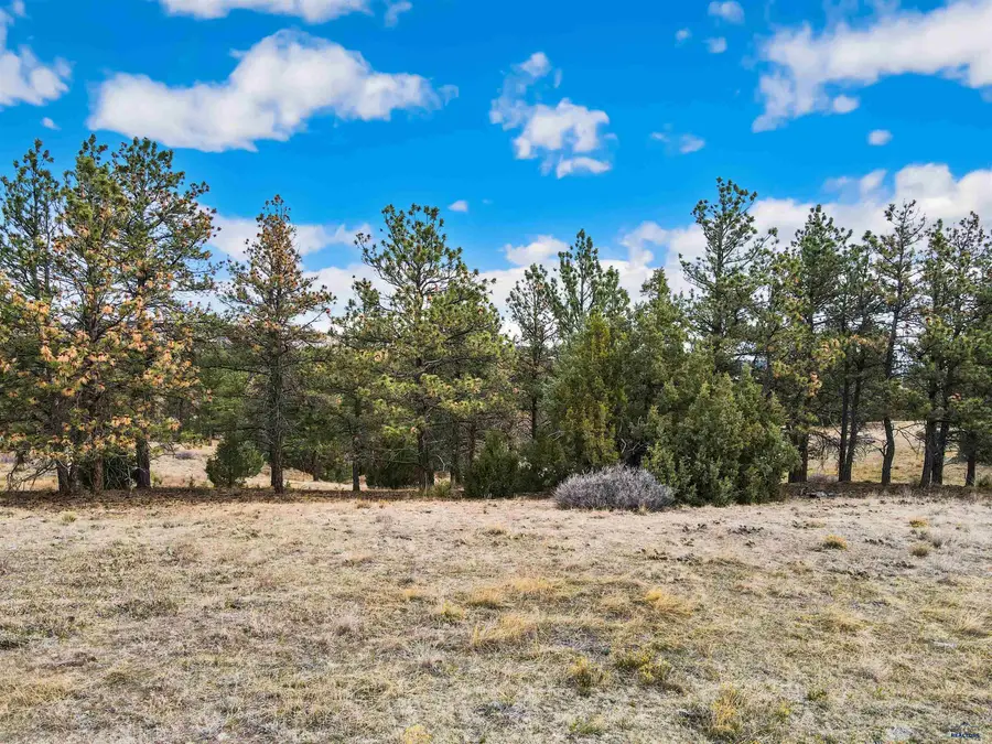 Lot 23 Lake Hills Rd, Hot Springs, SD 57747 - #3