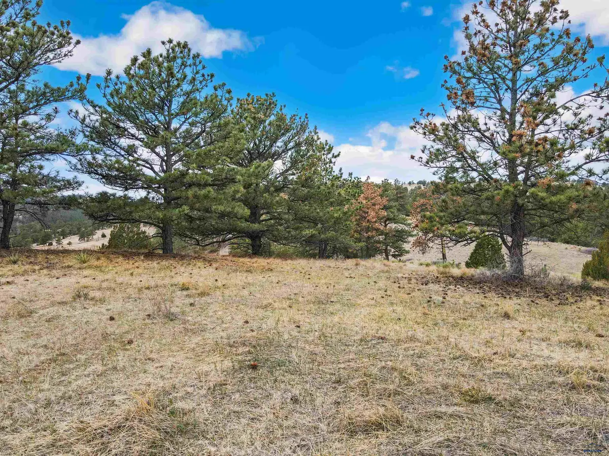 Lot 24 Lake Hills Rd, Hot Springs, SD 57747 - #1