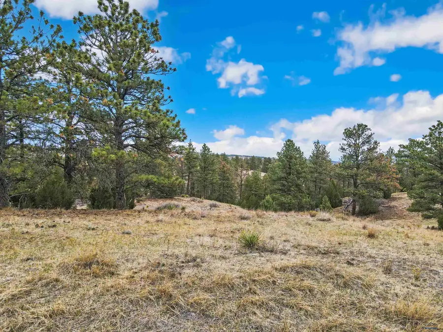 Lot 24 Lake Hills Rd, Hot Springs, SD 57747 - #3