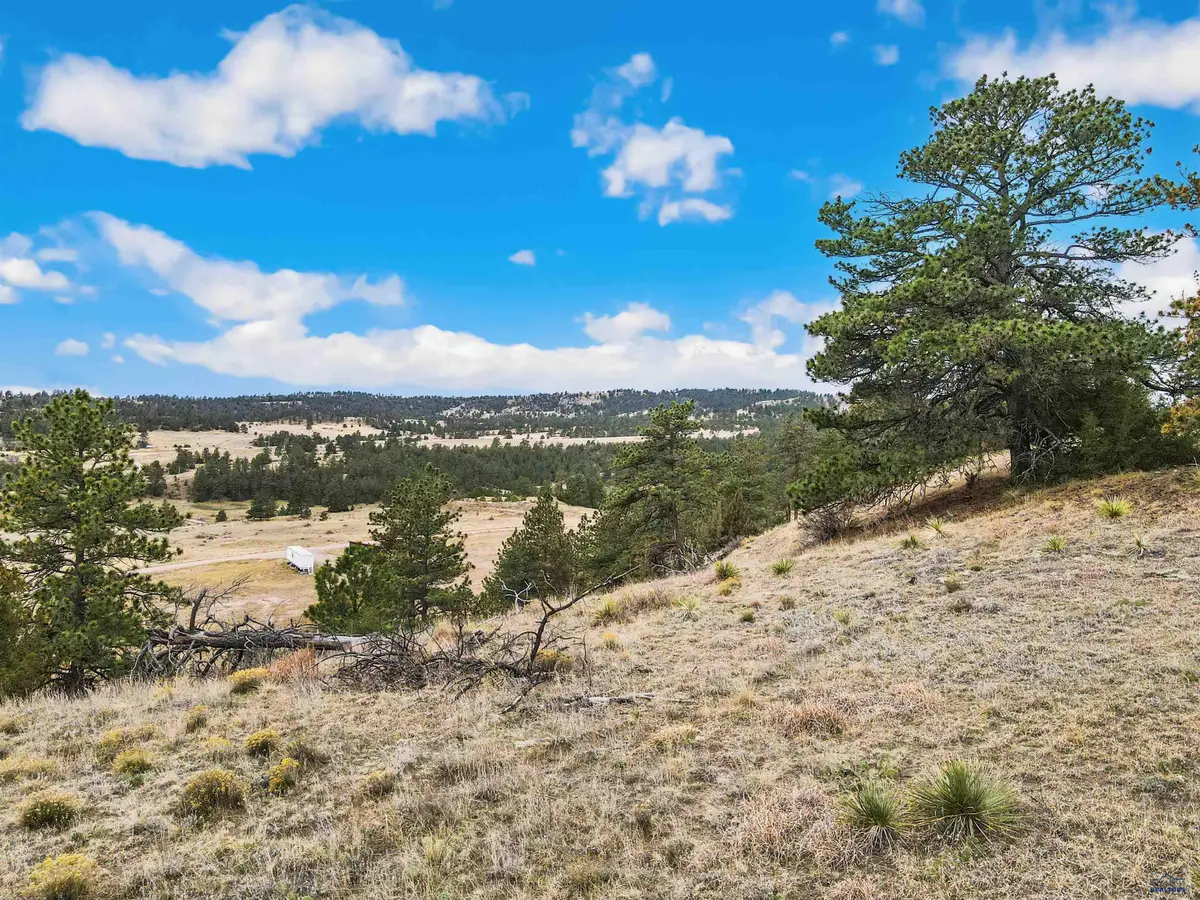 Lot 25 Lake Hills Rd, Hot Springs, SD 57747 - #1