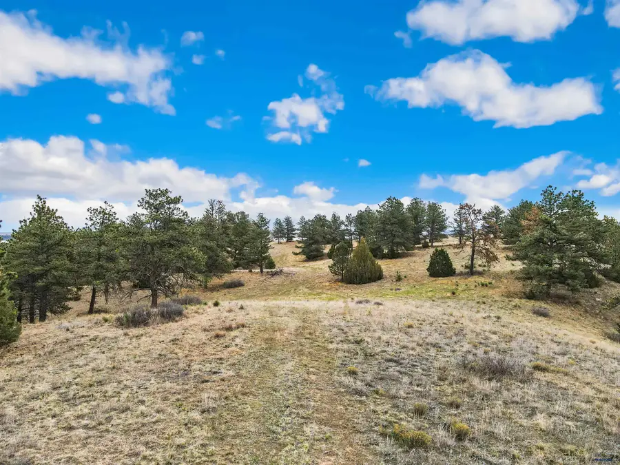 Lot 25 Lake Hills Rd, Hot Springs, SD 57747 - #2