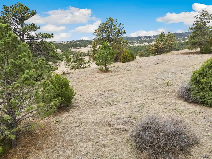 Lot 25 Lake Hills Rd, Hot Springs, SD 57747 - #3