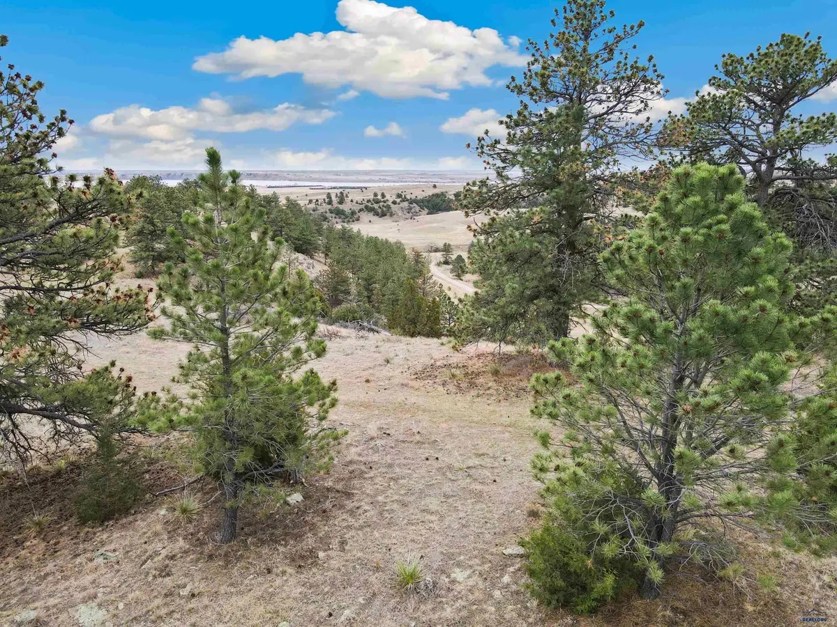Lot 26 Lake Hills Rd, Hot Springs, SD 57747 - #1