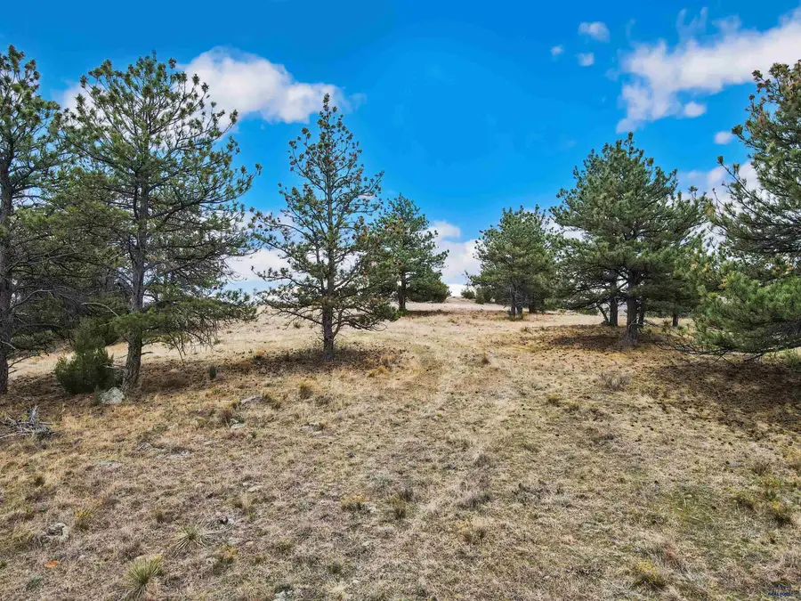 Lot 26 Lake Hills Rd, Hot Springs, SD 57747 - #2