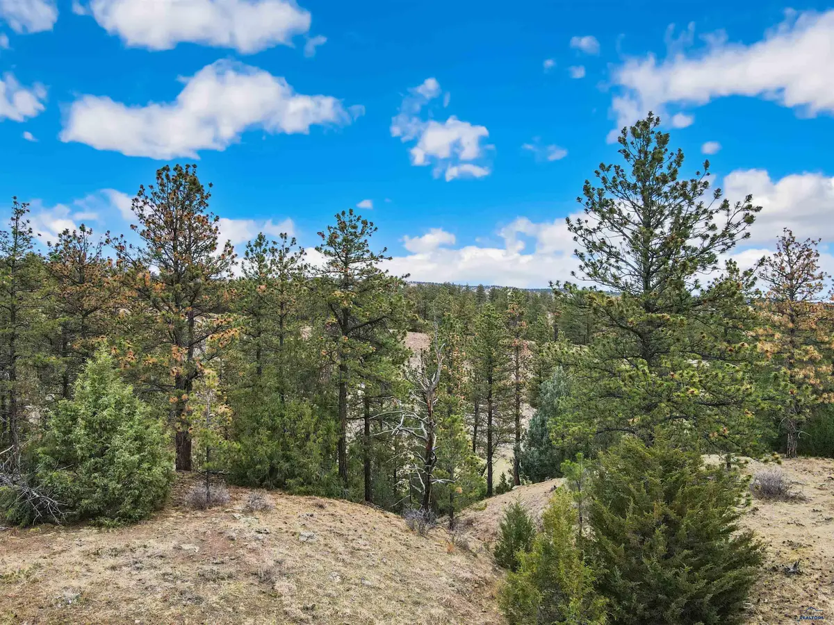 Lot 6 Lake Hills Rd, Hot Springs, SD 57747 - #1