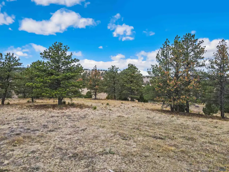 Lot 6 Lake Hills Rd, Hot Springs, SD 57747 - #2