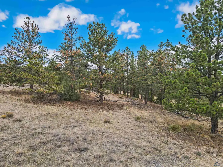 Lot 6 Lake Hills Rd, Hot Springs, SD 57747 - #3