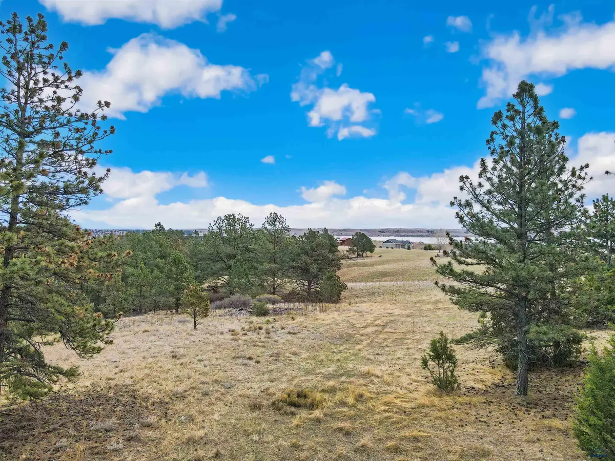 Lot Lake Hills Rd, Hot Springs, SD 57747 - #1