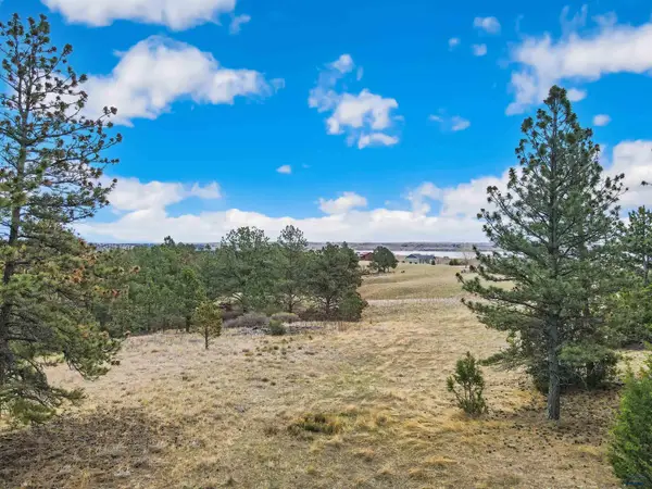 Lot Lake Hills Rd, Hot Springs, SD 57747