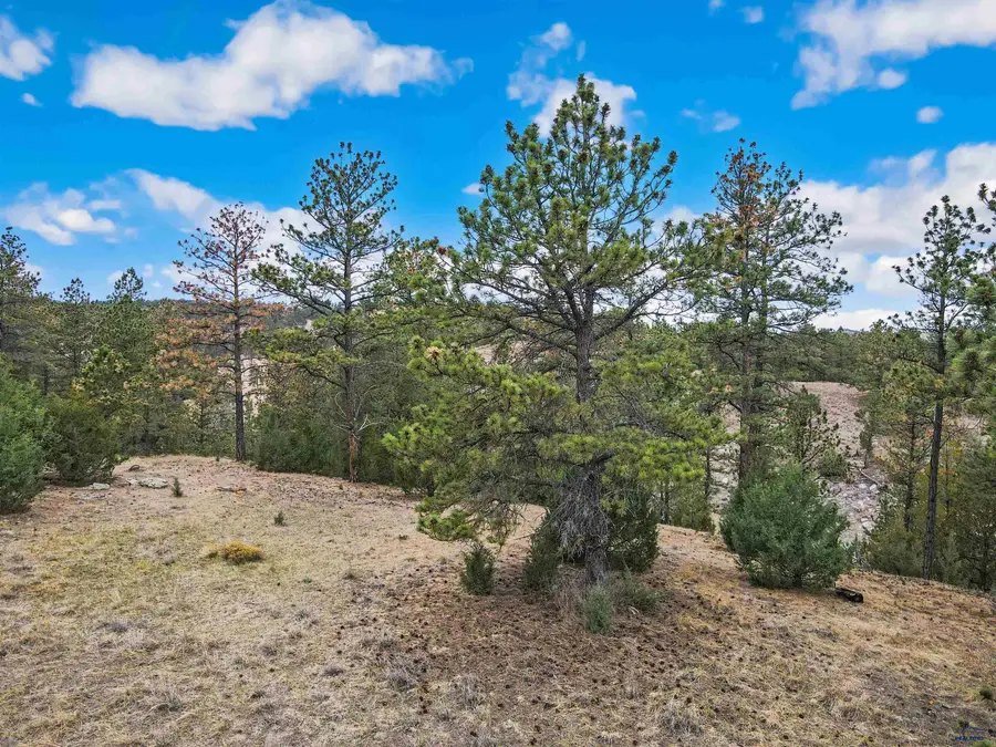 Lot Lake Hills Rd, Hot Springs, SD 57747 - #2
