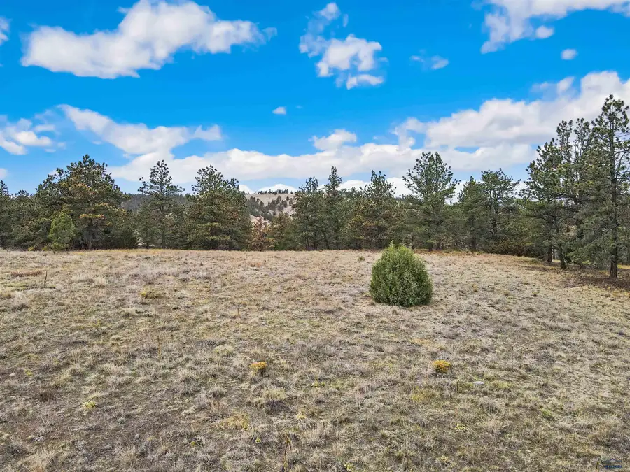 Lot Lake Hills Rd, Hot Springs, SD 57747 - #3