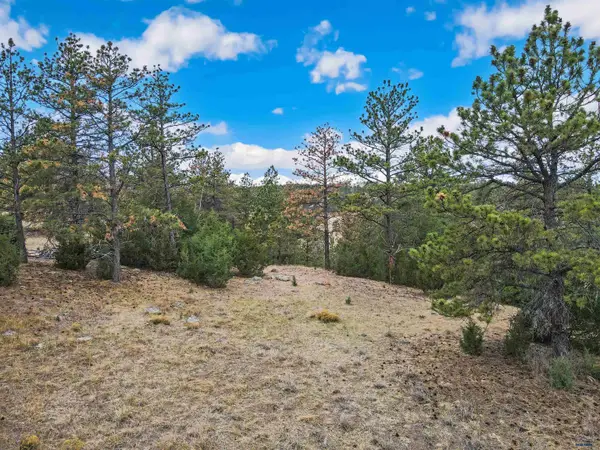 Lot 8 Lake Hills Rd, Hot Springs, SD 57747