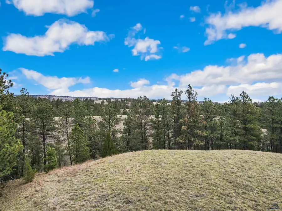 Lot 8 Lake Hills Rd, Hot Springs, SD 57747 - #3