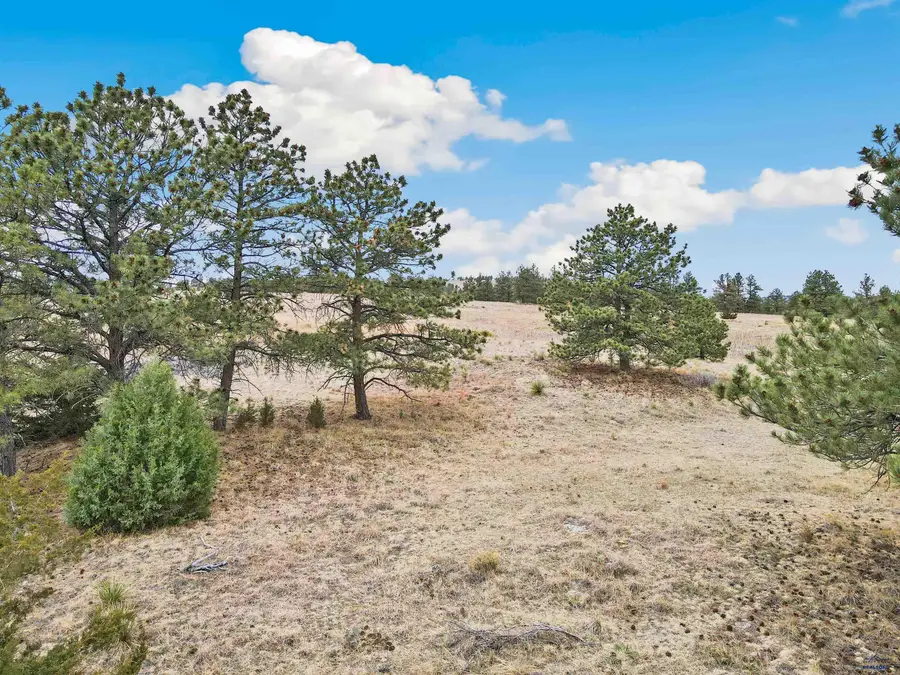 Lot 12 Lake Hills Rd, Hot Springs, SD 57747 - #2
