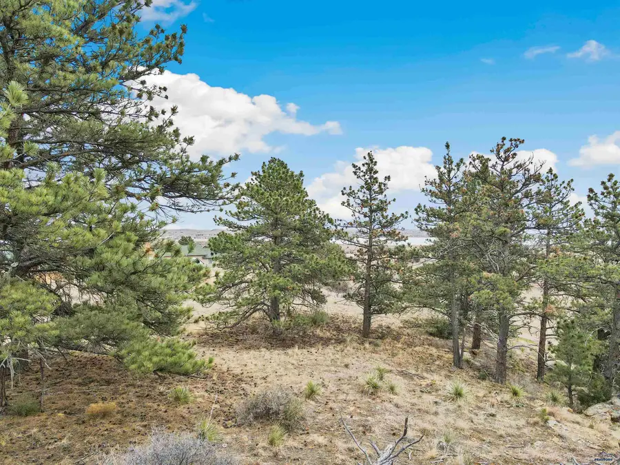 Lot 12 Lake Hills Rd, Hot Springs, SD 57747 - #3
