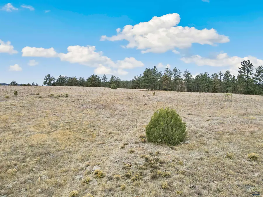 Lot 13 Lake Hills Rd, Hot Springs, SD 57747 - #2