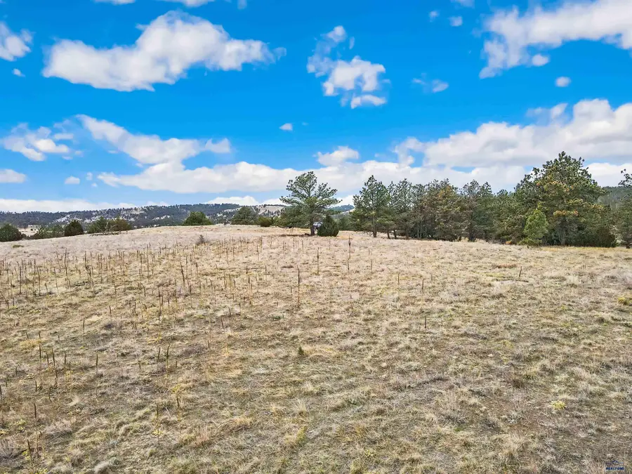 Lot 13 Lake Hills Rd, Hot Springs, SD 57747 - #3