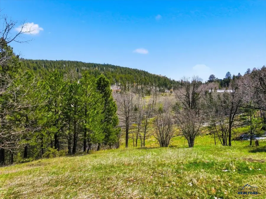 Lot 26A Elk View Loop, Sturgis, SD 57785 - #3