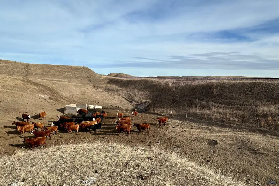 24098 Other, Hermosa, SD 57744 - #2