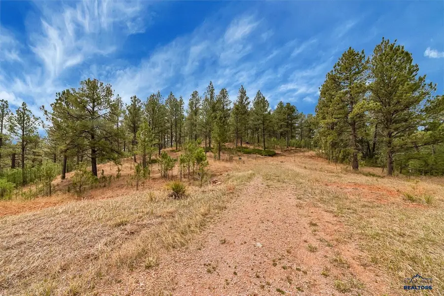 0 Haugan Trail, Hermosa, SD 57744 - #3