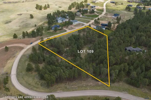 13492 Frontier Loop, Piedmont, SD 57769