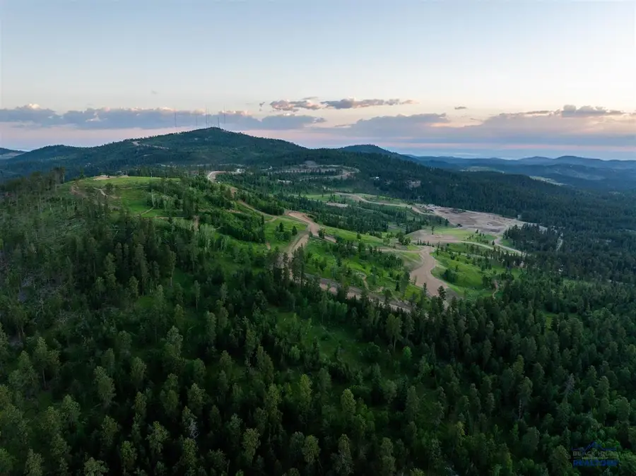 Lot 78 Deer Mountain Resort, Lead, SD 57754 - #3