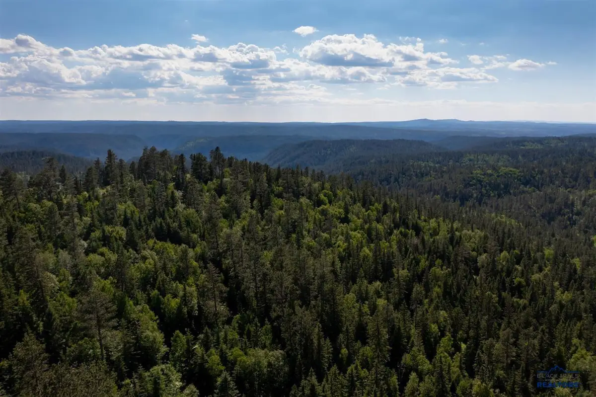 Lot 59 Deer Mountain Resort, Lead, SD 57754 - #1