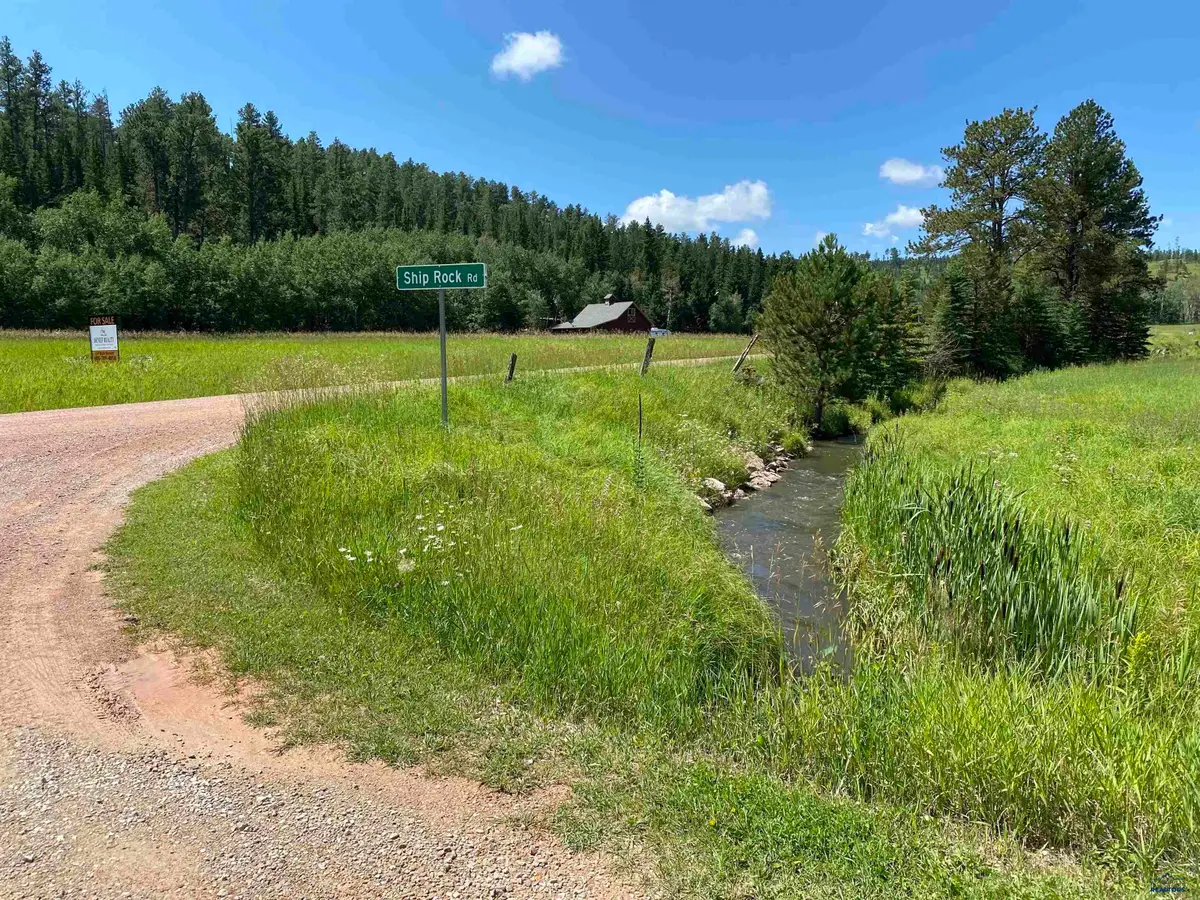 TBD Benchmark Rd, Nemo, SD 57759 - #1