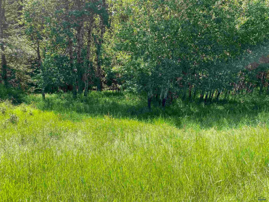 TBD Benchmark Rd, Nemo, SD 57759 - #2