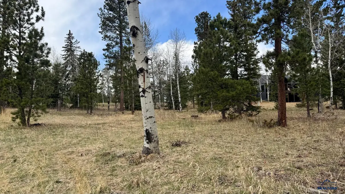 Lot 5 Blk 4 Trailside Add, Lead, SD 57754 - #1