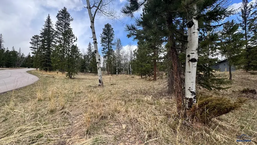 Lot 5 Blk 4 Trailside Add, Lead, SD 57754 - #2