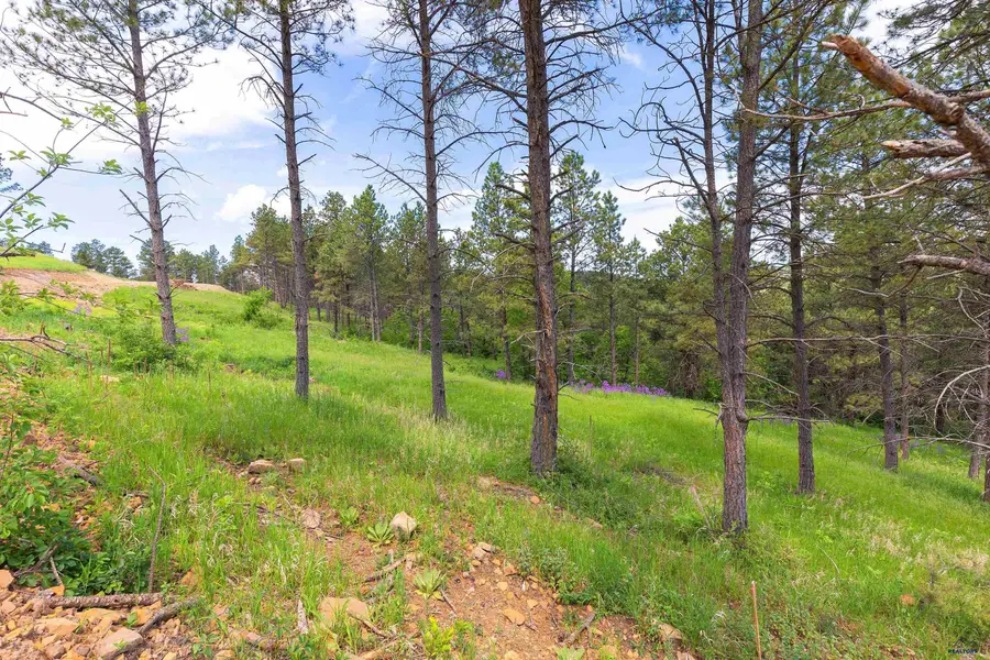 1136 Pinnacle Ct, Rapid City, SD 57701 - #2