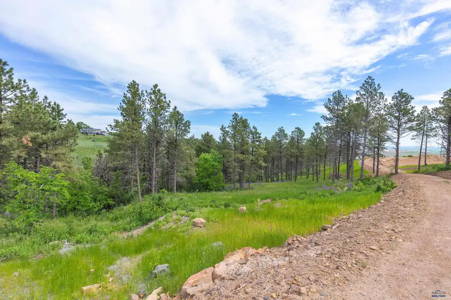 1136 Pinnacle Ct, Rapid City, SD 57701 - #3
