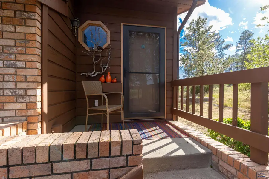 4909 Mountain Springs Ct, Rapid City, SD 57702 - #3