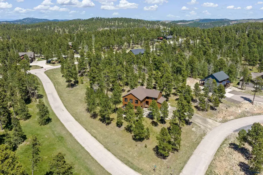 11312 Springwood Ct, Lead, SD 57754 - #2