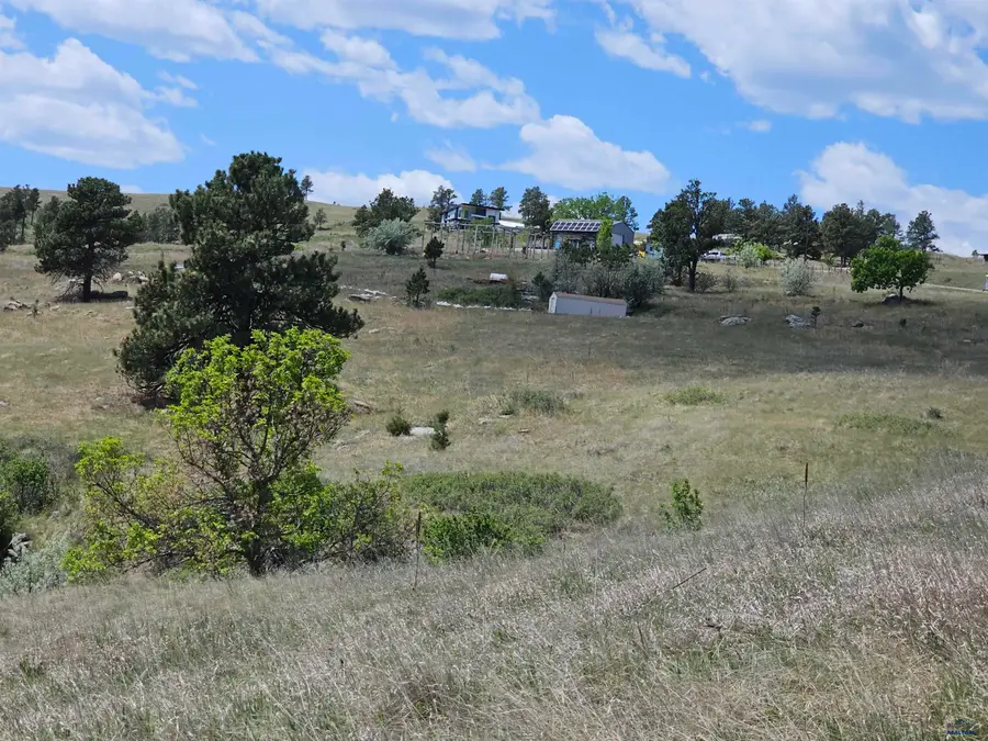 5001 Brownstone Ct, Piedmont, SD 57769 - #2