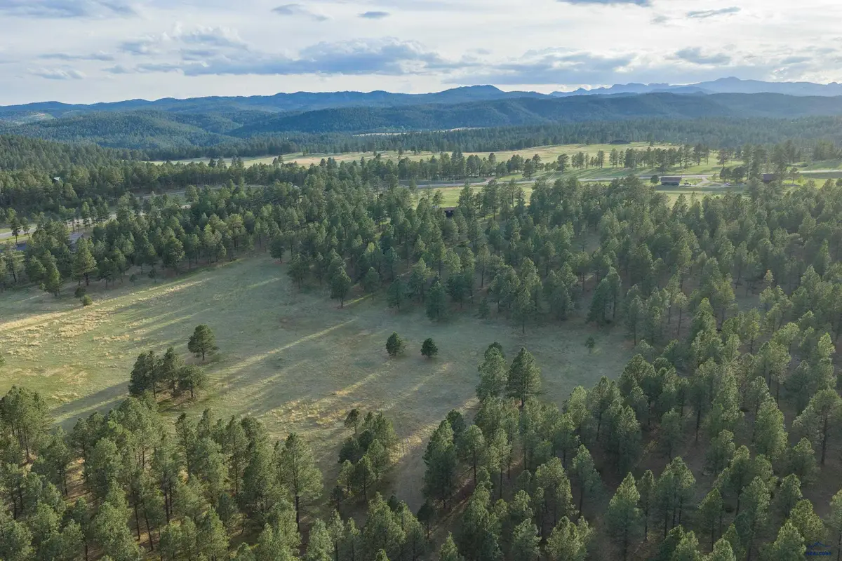 Tract 1 TBD Hwy 40, Hermosa, SD 57744 - #1
