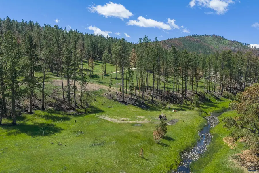 25287 Lower French Creek Rd, Custer, SD 57730-0000 - #3