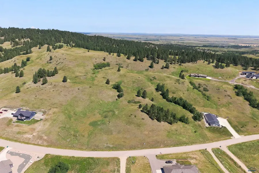 3733 Twisted Oak Rd, Sturgis, SD 57785 - #2