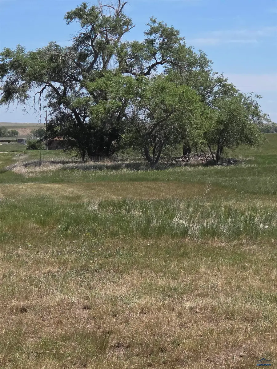 000 W 9th Street, Oelrichs, SD 57763 - #3