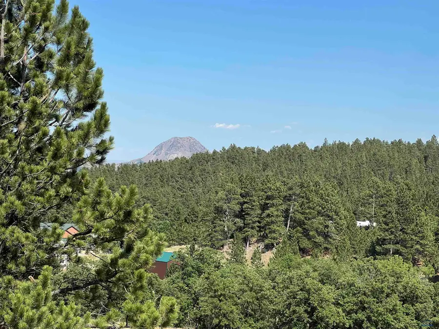 Lot 21.20 Summit Pass, Whitewood, SD 57793 - #2