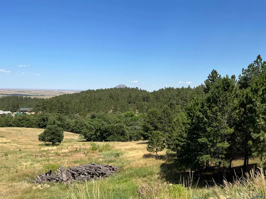 Lot 21.20 Summit Pass, Whitewood, SD 57793 - #3