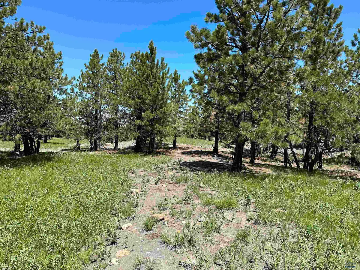 TBD Epic Ln, Sturgis, SD 57785 - #1