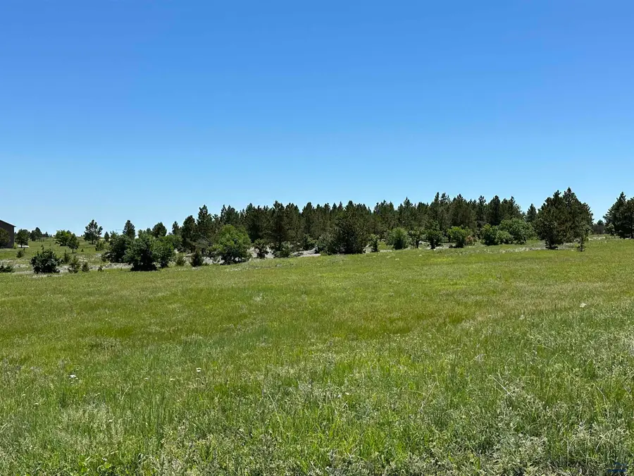 TBD Epic Ln, Sturgis, SD 57785 - #2