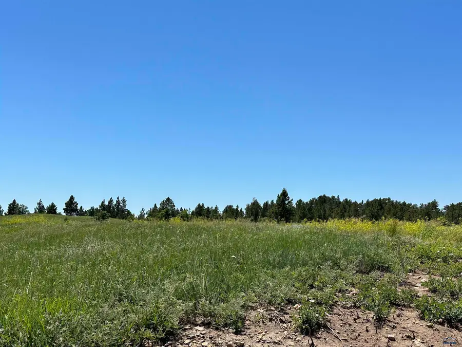 TBD Epic Ln, Sturgis, SD 57785 - #3
